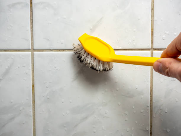 Best Preventive Mold Services in Mount Vernon, MD