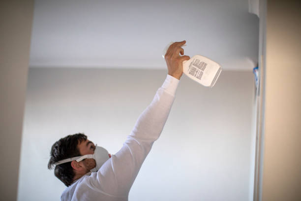 Best Mold Remediation for Schools in Mount Vernon, MD