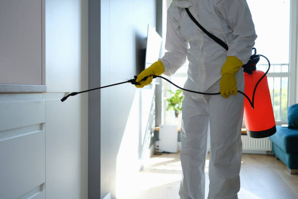 Best Health and Safety Mold Remediation in Mount Vernon, MD